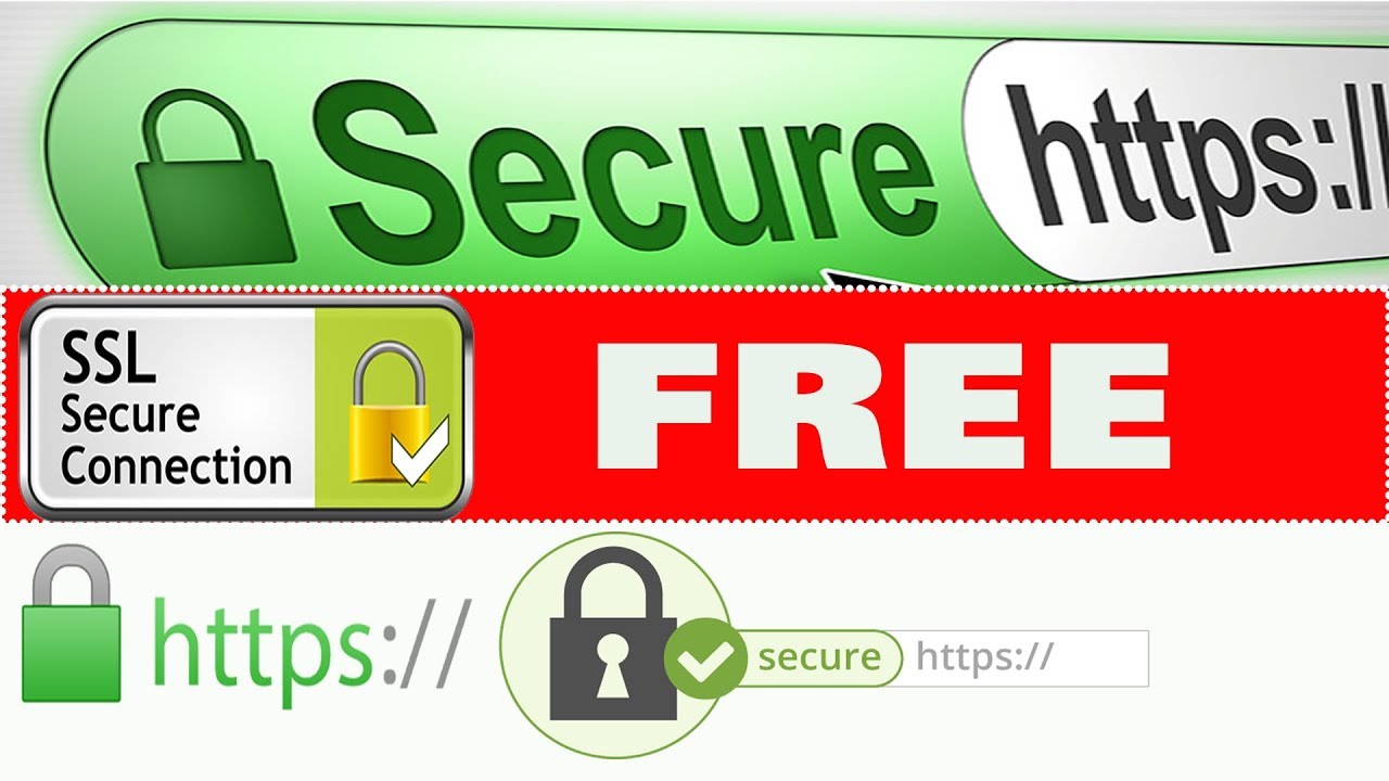 SSL Certificate for Your Website/ Green Padlock and ssl certificate/ https secure browser with ssl