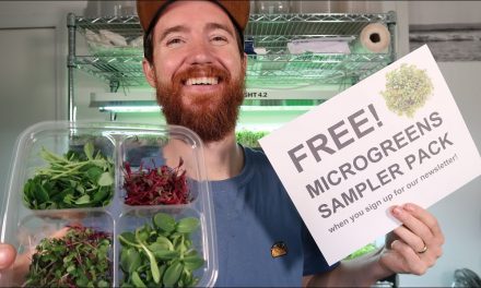 Free Microgreens Sampler Pack (how to and downloads)