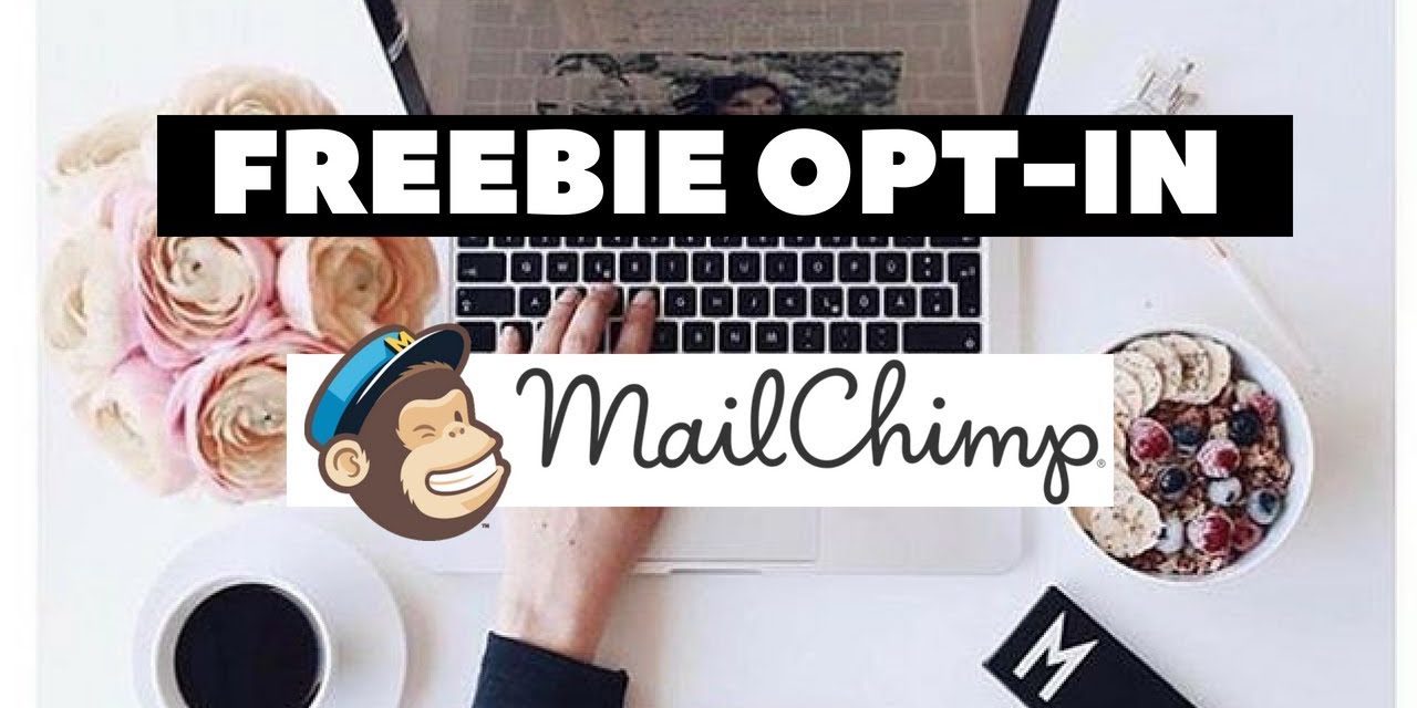 How to Set Up an Opt-in Freebie in Mailchimp for FREE | Freebie Opt in Mailchimp